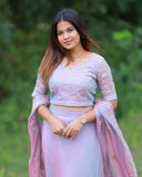 Youthful Grace Lehenga Gown